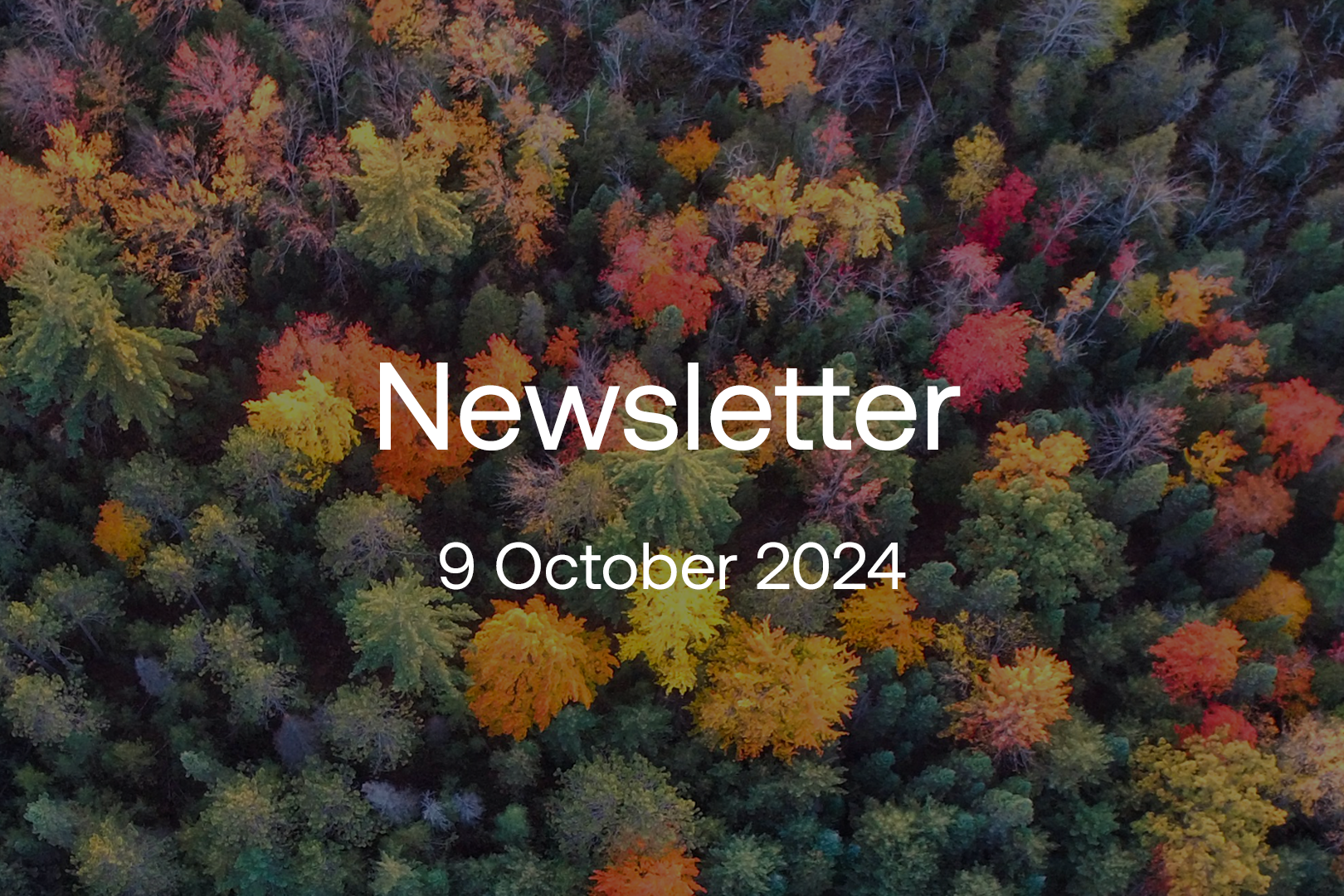 oct-2024-newsletter-1620x1080.png