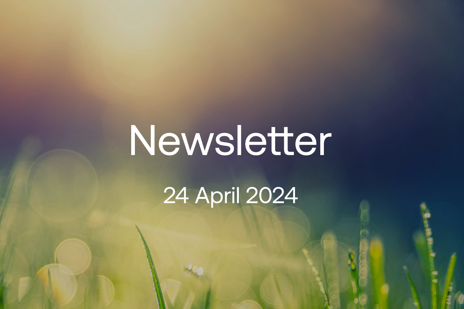 april-2024-newsletter-1620x1080.png