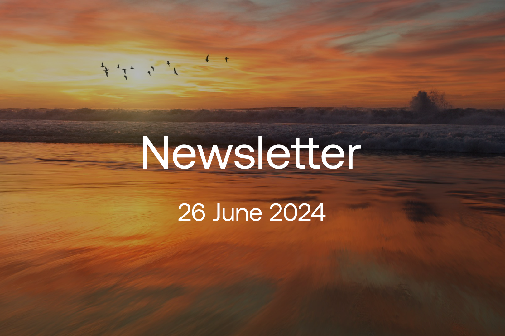 june-2024-newsletter-1620x1080.png
